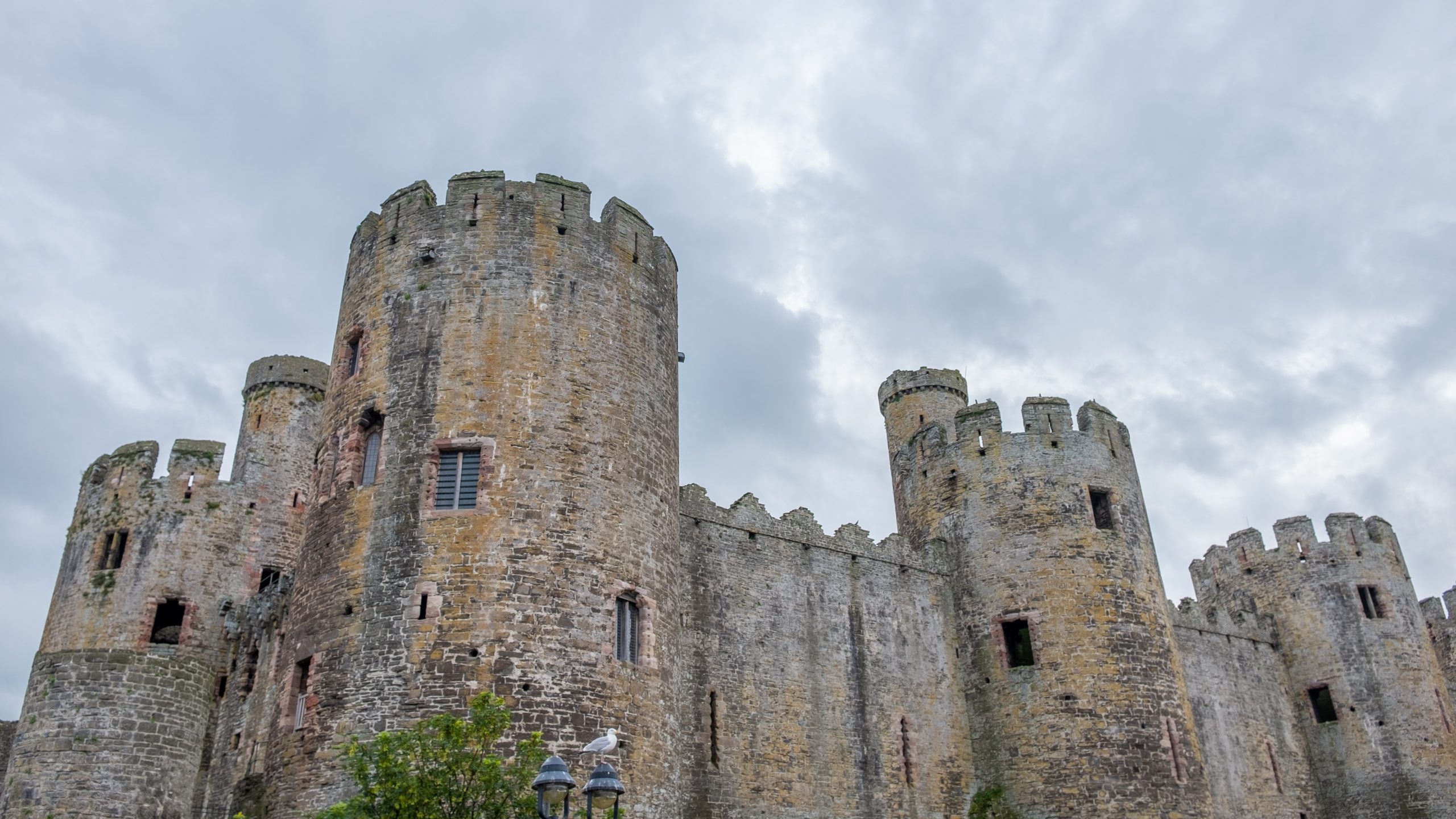 Activities to Do in Conwy