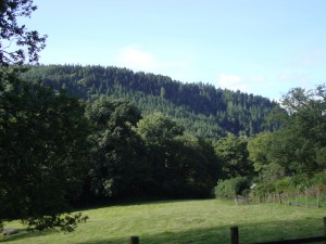 Caravan Parks Mid Wales