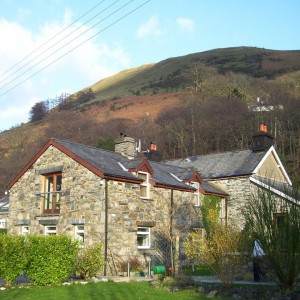 Dolfannog Fach
