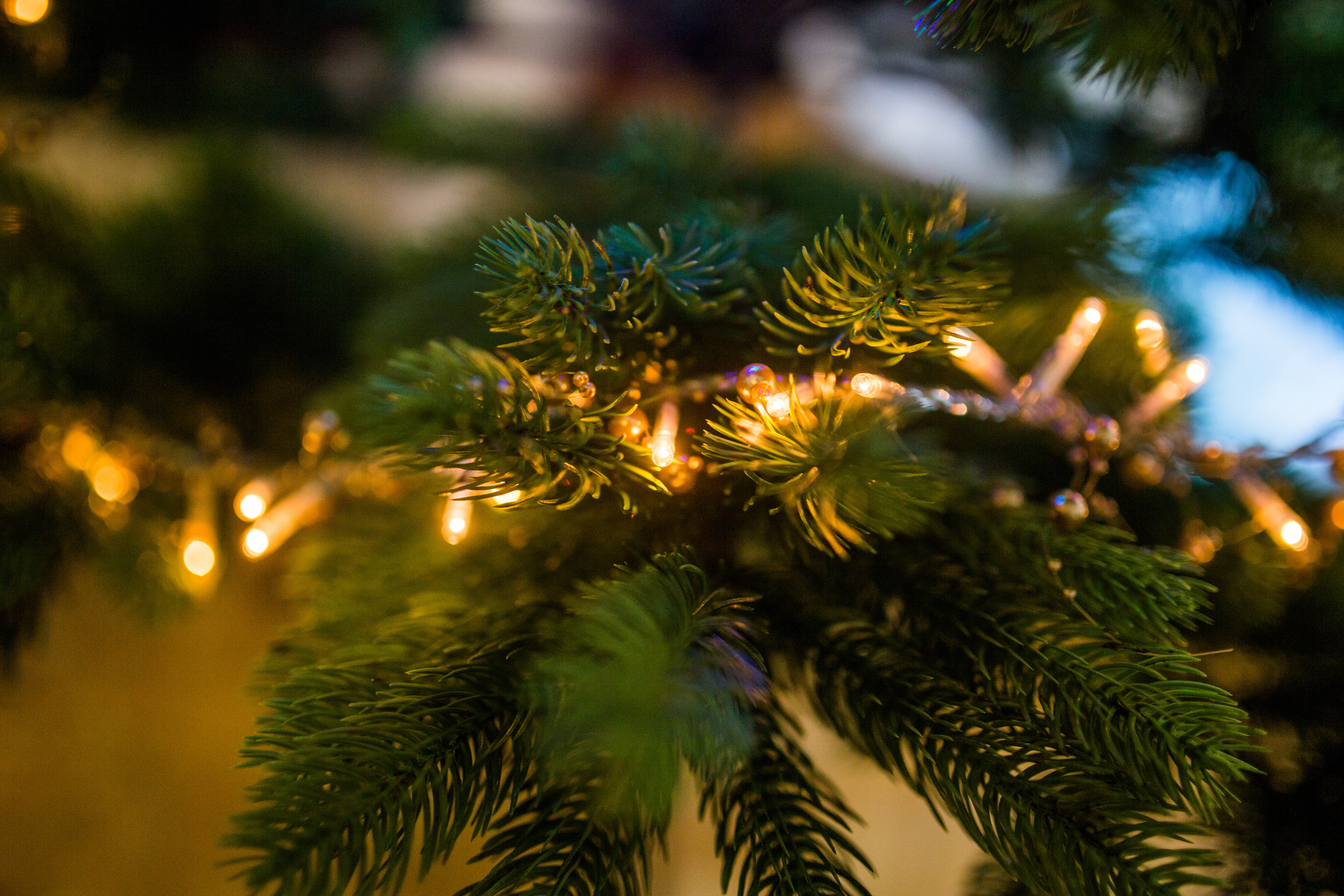 Portmerion Christmas Market